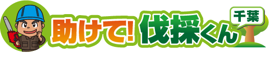 特殊伐採,立木の伐採,伐採専門